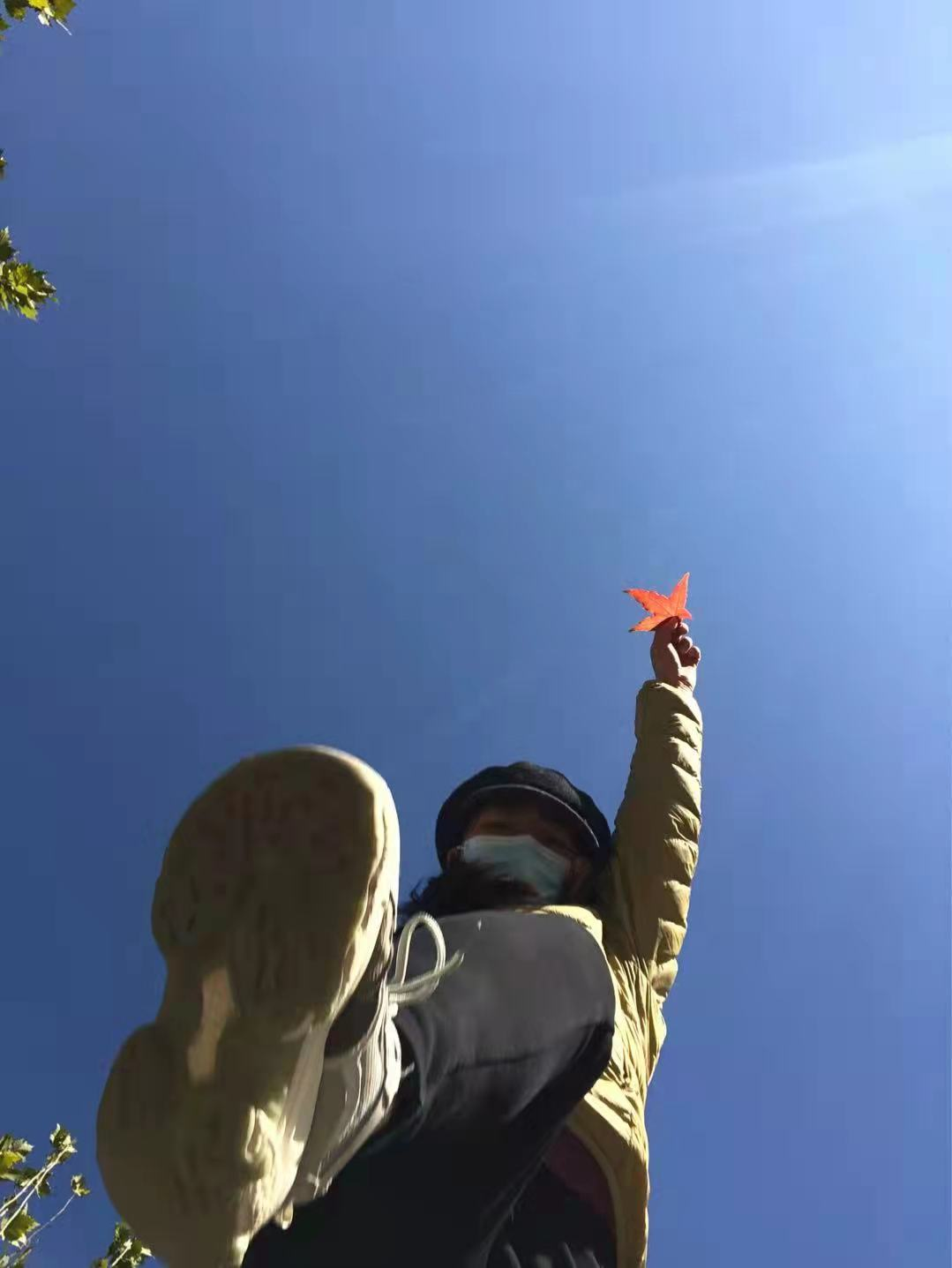 无码a片