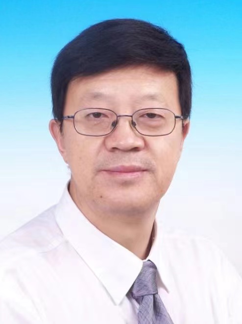 无码a片