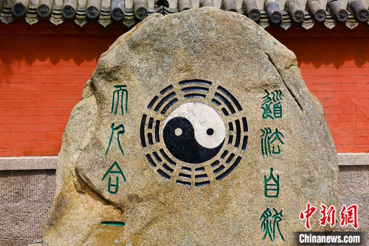 无码a片