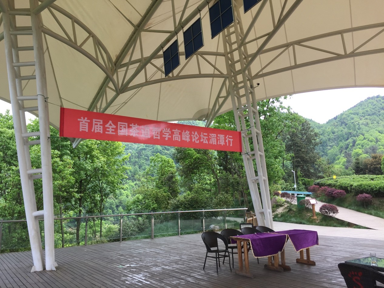 无码a片