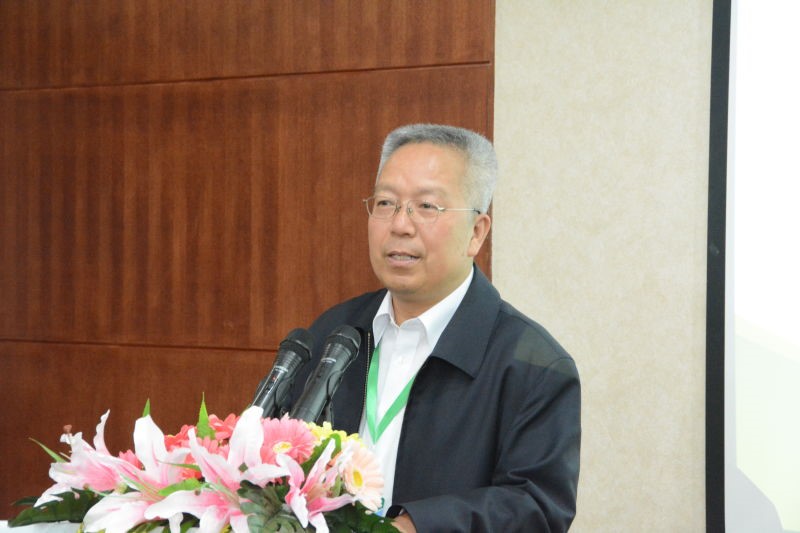 无码a片