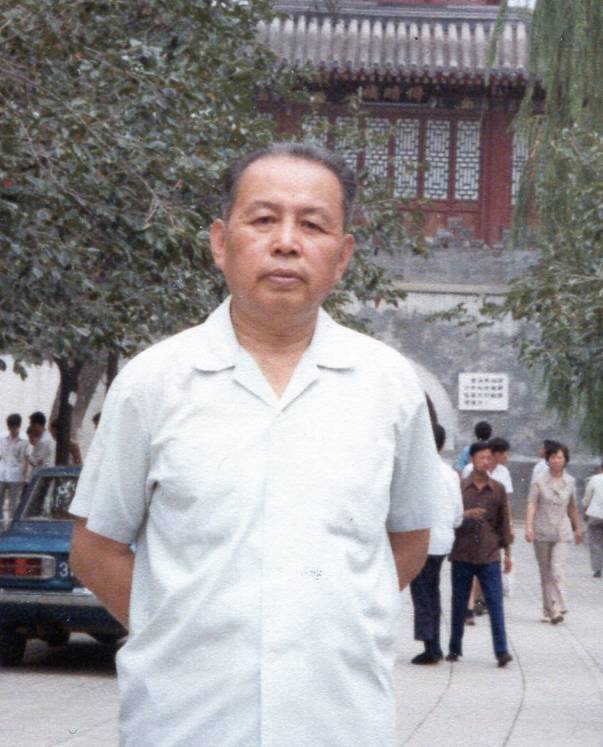 无码a片