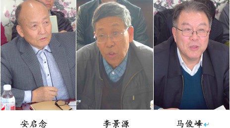 无码a片